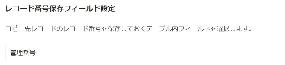 レコード番号保存フィールドの詳細設定