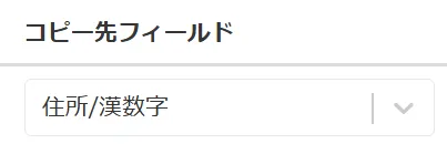 変換先フィールドの設定
